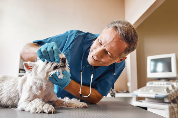 Best Walk-In Emergency Dentist in Cadillac, MI